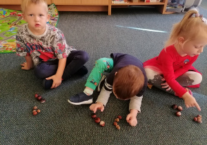 Dzieci tworzą zbiory z kasztanów.