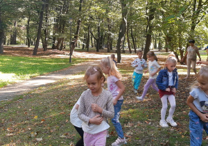 Biedronki bierają kasztany.