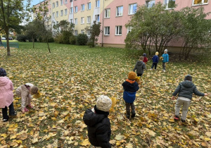Dzieci w trakcie poszukiwań kolorowych liści.