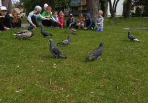 Dzieci obserwują ptaki i kaczki.