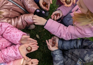 dzieci z kasztanami na dłoniach