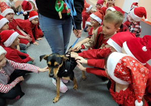 Dzieci witają się z psem Diorem.