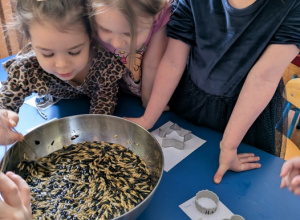 Stołówka dla ptaków