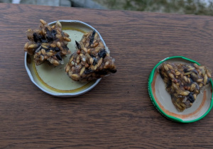 stołówka dla ptaków na przedszkolnym parapecie