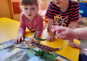 Dzieci oglądają wypożyczoną z biblioteki książkę