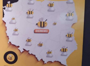 "Bajka o pszczołach"