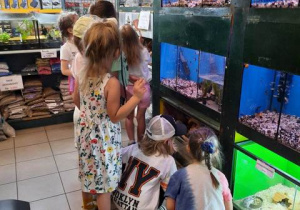 Dzieci oglądają zwierzęta w sklepie zoologicznym.
